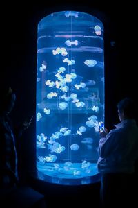 Jellyfish tank, Tenerife, 2024